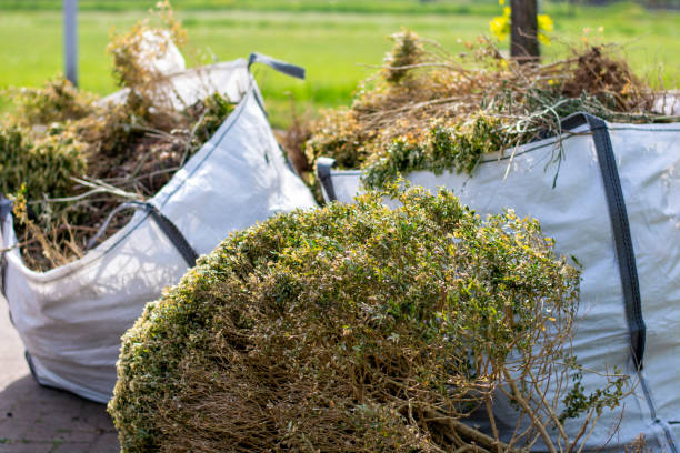 Best Local Junk Hauling  in Carthage, MS